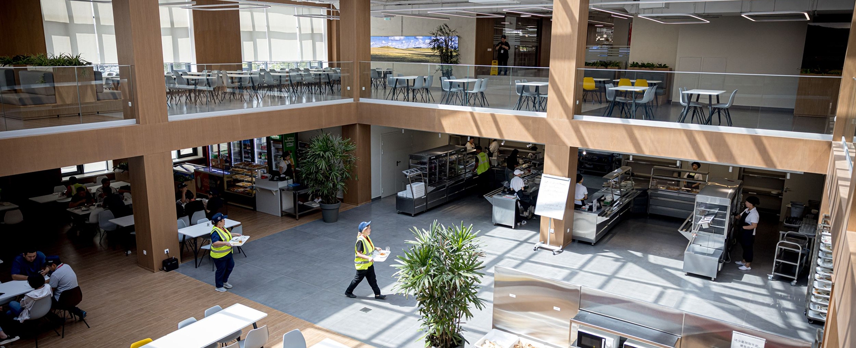 Бесплатное питание